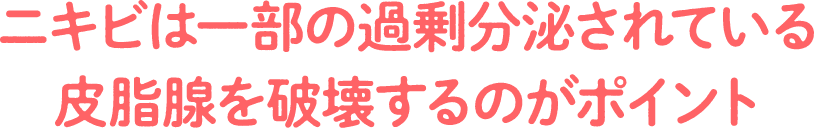 ニキビは一部の過剰分泌されている皮脂腺を破壊するのがポイント